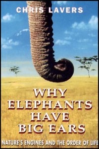 why elephants